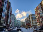 Sem stolits (Tsentralnaya Street, 52), municipal housing authority