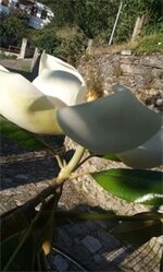 Фото Palladio Hotel