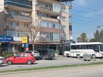 Erturk (Izmir, Bornova, Egemenlik Neighborhood, Aydinlar Avenue, 12G), car dealership