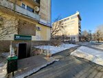 Yekaterinburgsky uchebno-kursovoy kombinat NChOU Dpo (Severniy Lane, 3), educational institution