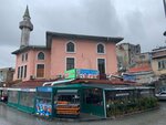 Yakamoz Fish Restaurant (İstanbul, Beyoğlu, Arap Cami Mah., Dikişçi Sok., 2), restaurant