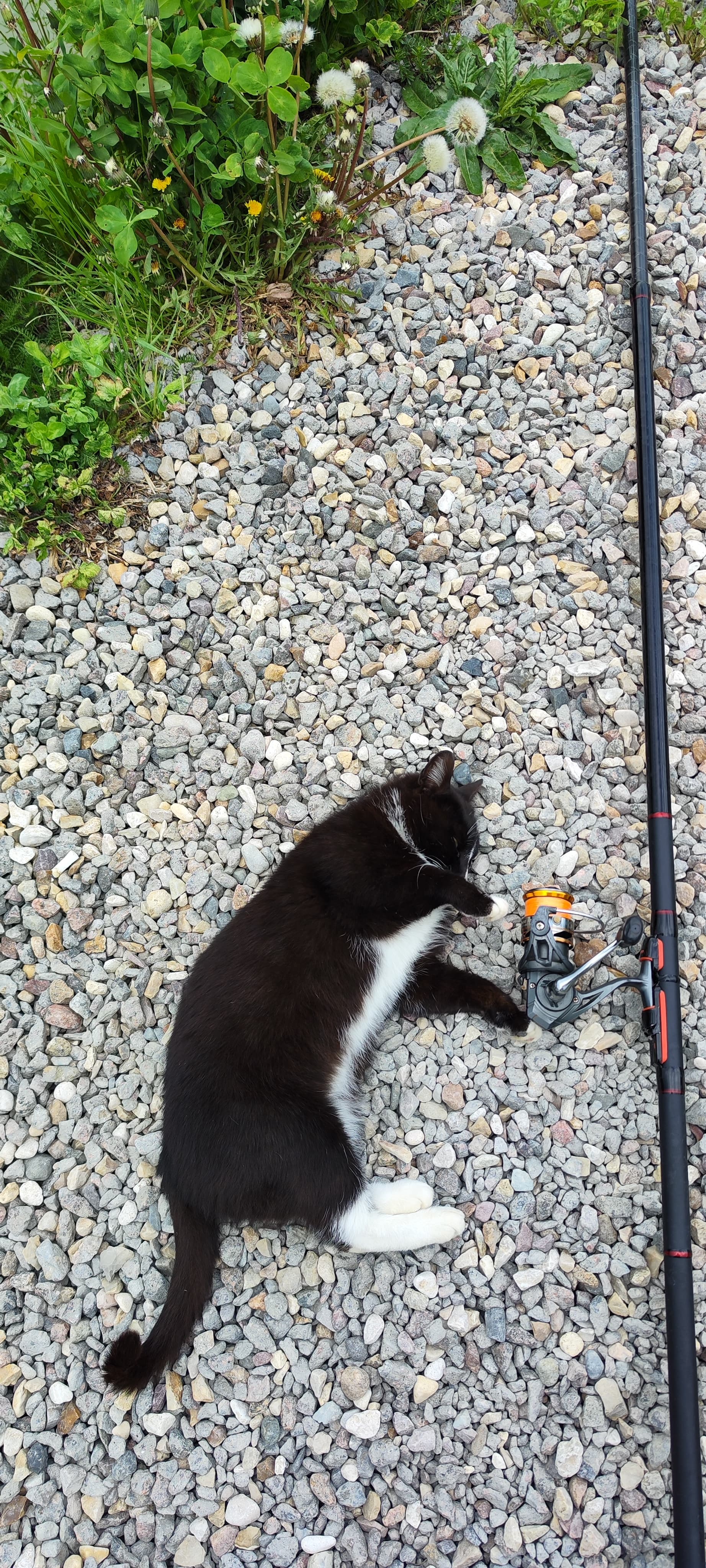 Фото Ultralight-world