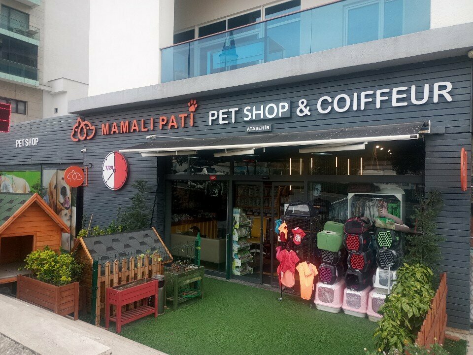 Pet hotel Mamalı Pati Pet Otel & Kuaför, Istanbul, photo