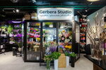 Gerbera studio 2 (Usachyova Street, 15А), flower shop