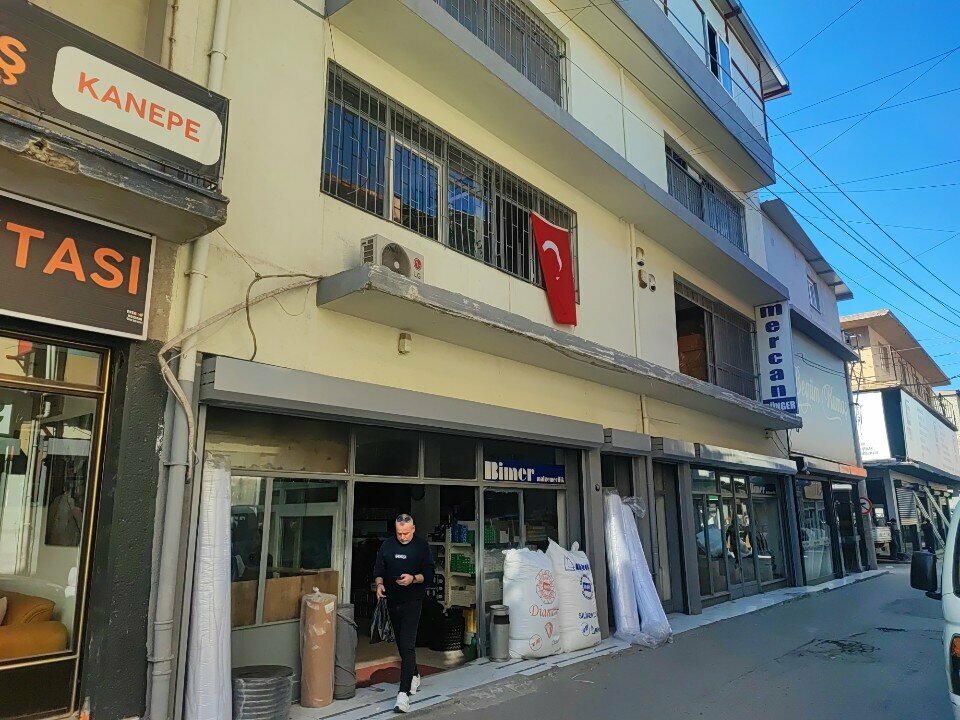 Industrial enterprise Isbir Sponge Bimer, Izmir, photo