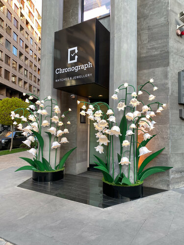 Chronograph Fotoğraf 2