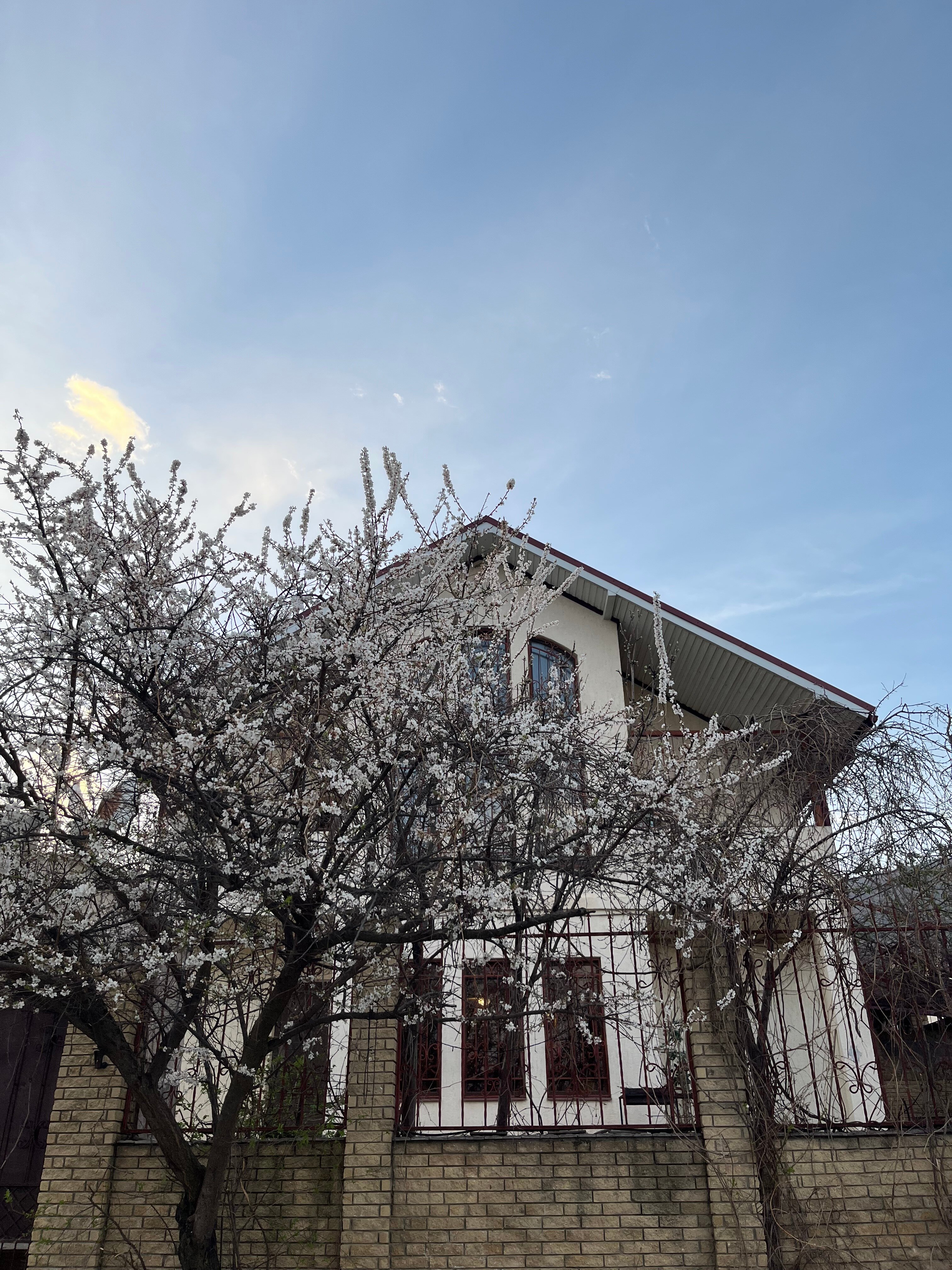 Фото Орлиное гнездо