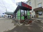 Магазин цветов (Bolshaya Gornaya Street, 310Ак11), flower shop