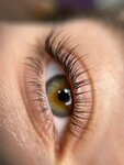 Mirzoyan. Beauty (Gagarina Avenue, 178/1), eyebrow and eyelash salon