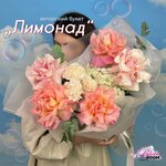 Bloom Room (Dolgorukovskaya Street, 5) ، محل زهور