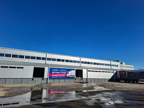 Porno yigit qizni yaxshi his qiladi