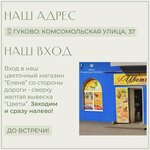 Elena (posyolok shakhty Antratsit, Komsomolskaya ulitsa, 37), flower shop