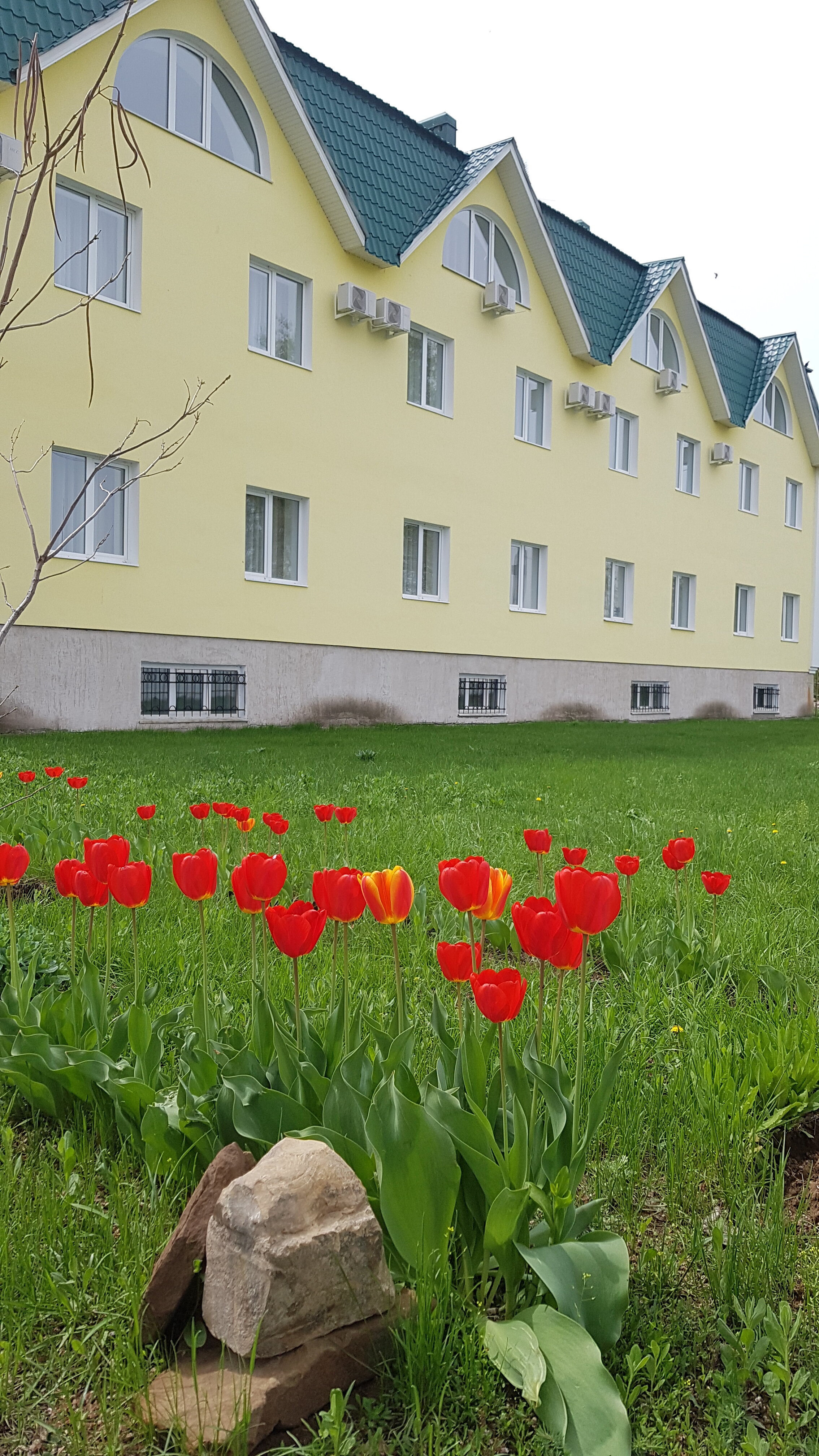 Фото Речная долина