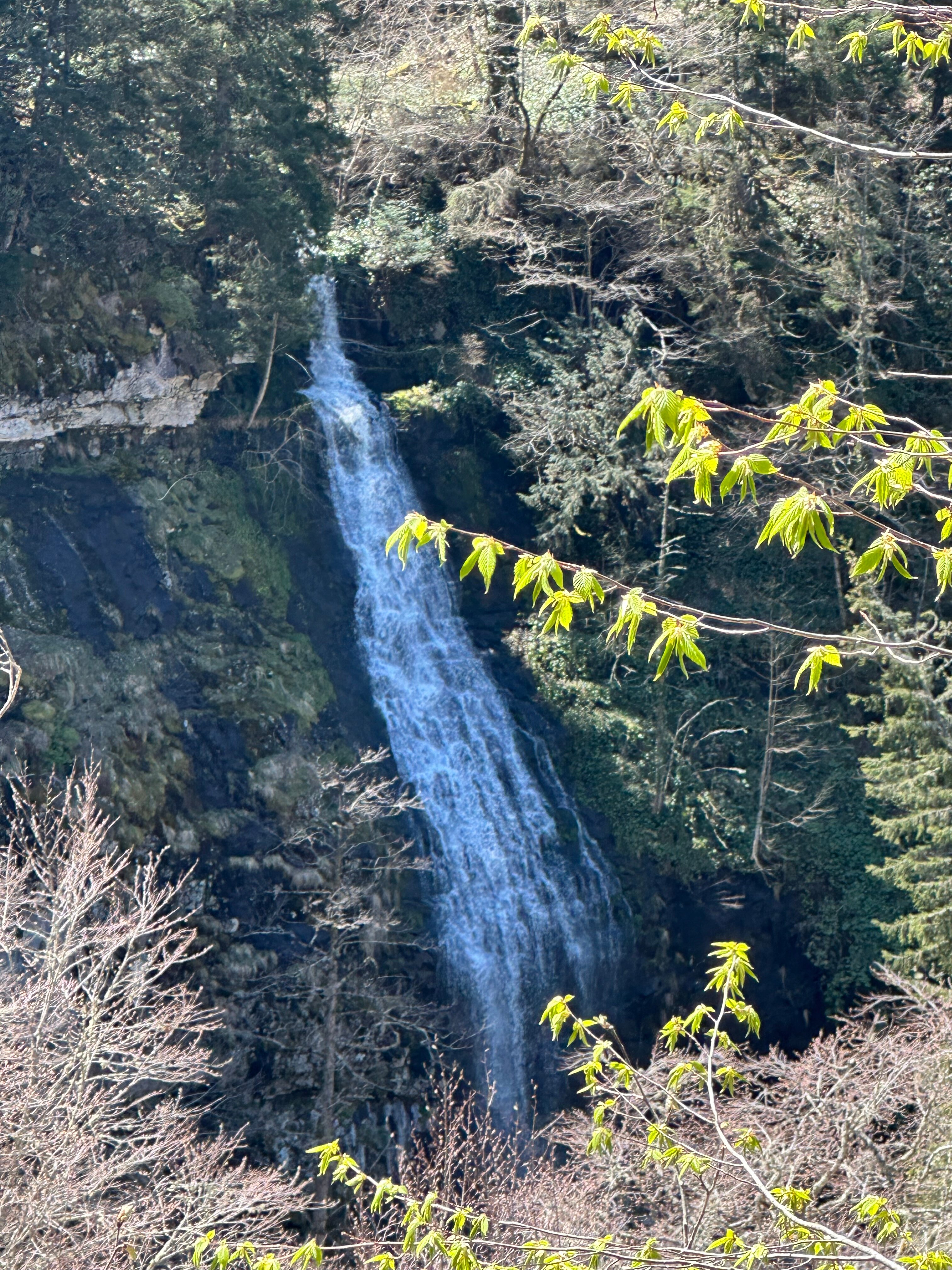 Фото Sairme Resort