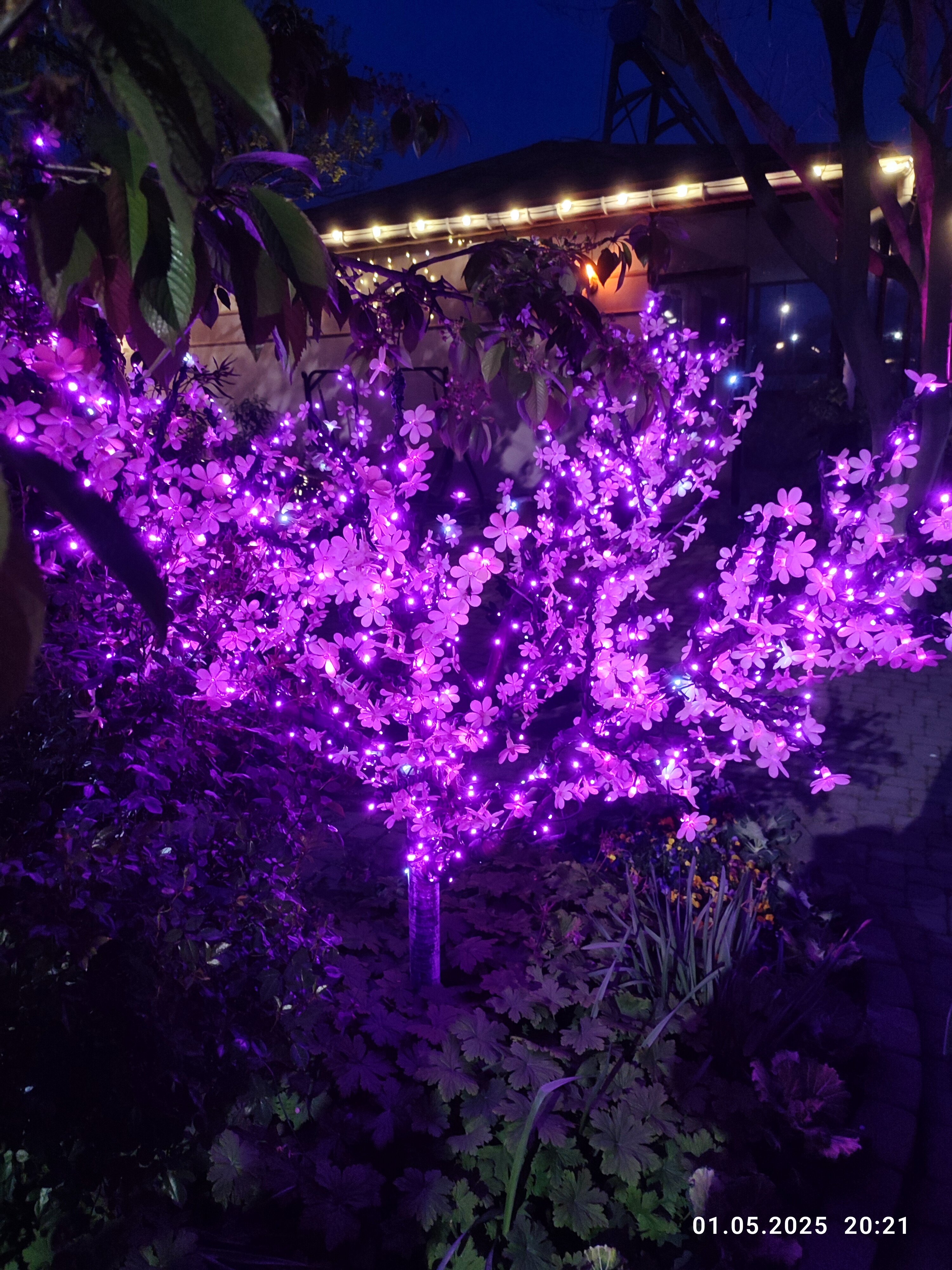 Фото Резиденция лета