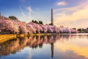 Гостиница Hyatt Place Washington DC/White House