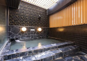 Гостиница Apa Villa Hotel Sendaieki-Itsutsubashi