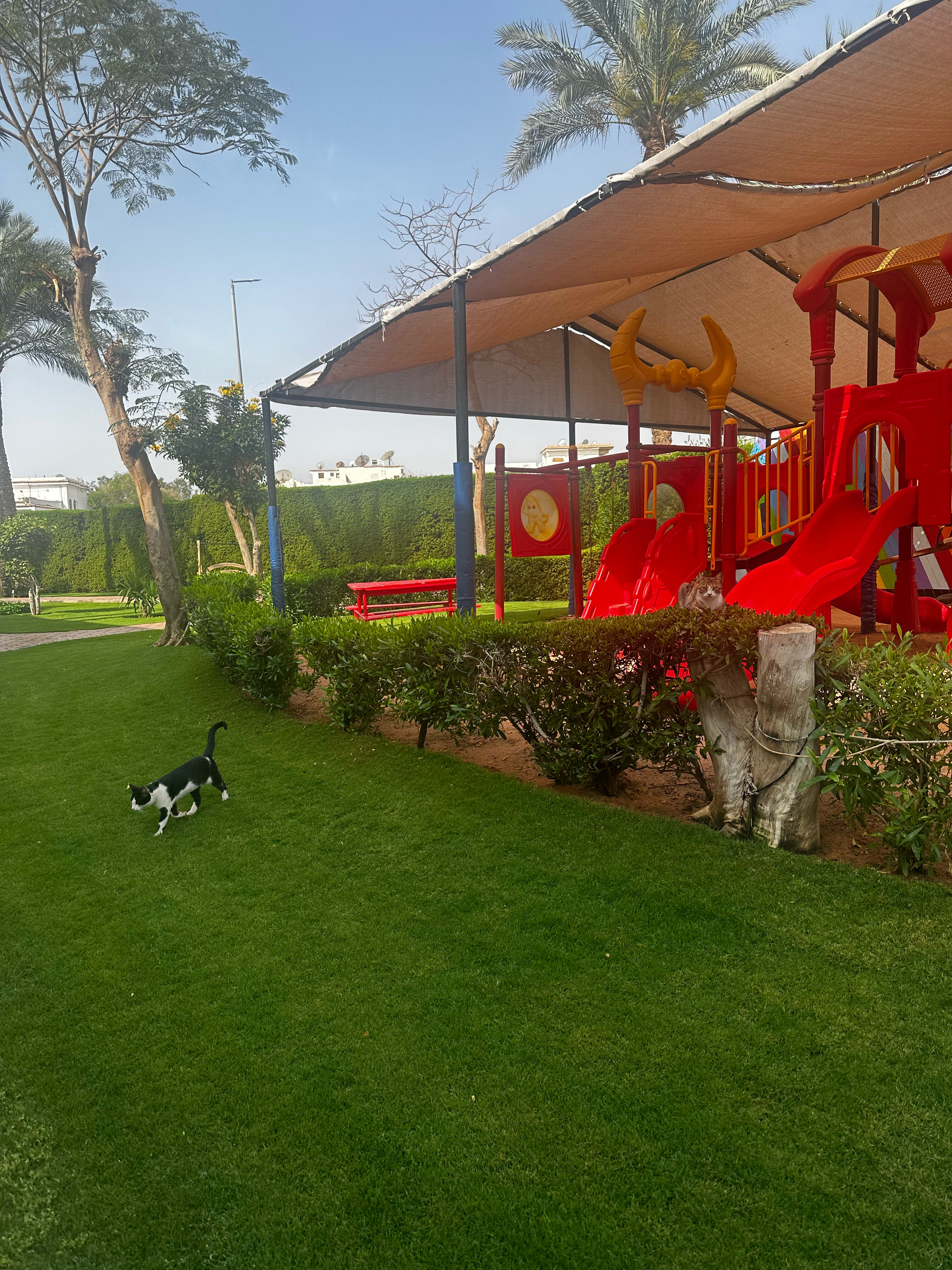 Фото Xperience St. George Homestay