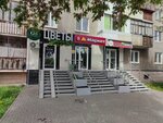 Время путешествовать (Stepana Kuvykina Street, 35) ، وكالة أسفار