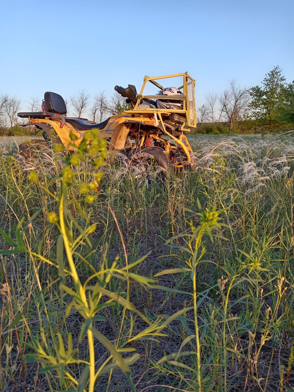 Фото Добродом