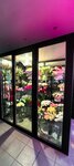 Алиса (ulitsa Lenina, 5), flower shop
