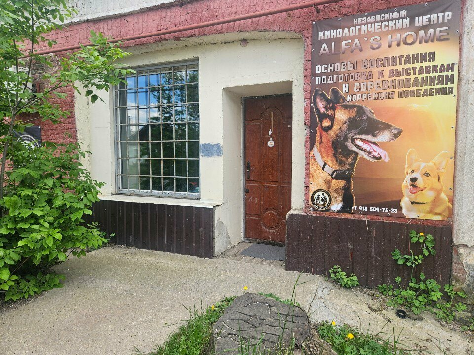 Dog park Alfa's home, Orel, photo