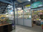 Экзотека (Polyustrovskiy Avenue, 45Д), aquariums