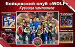Спортивный клуб единоборств Wolf (Mineralnye Vody, Moskovskaya ulitsa, 19/4), sports hall, gym