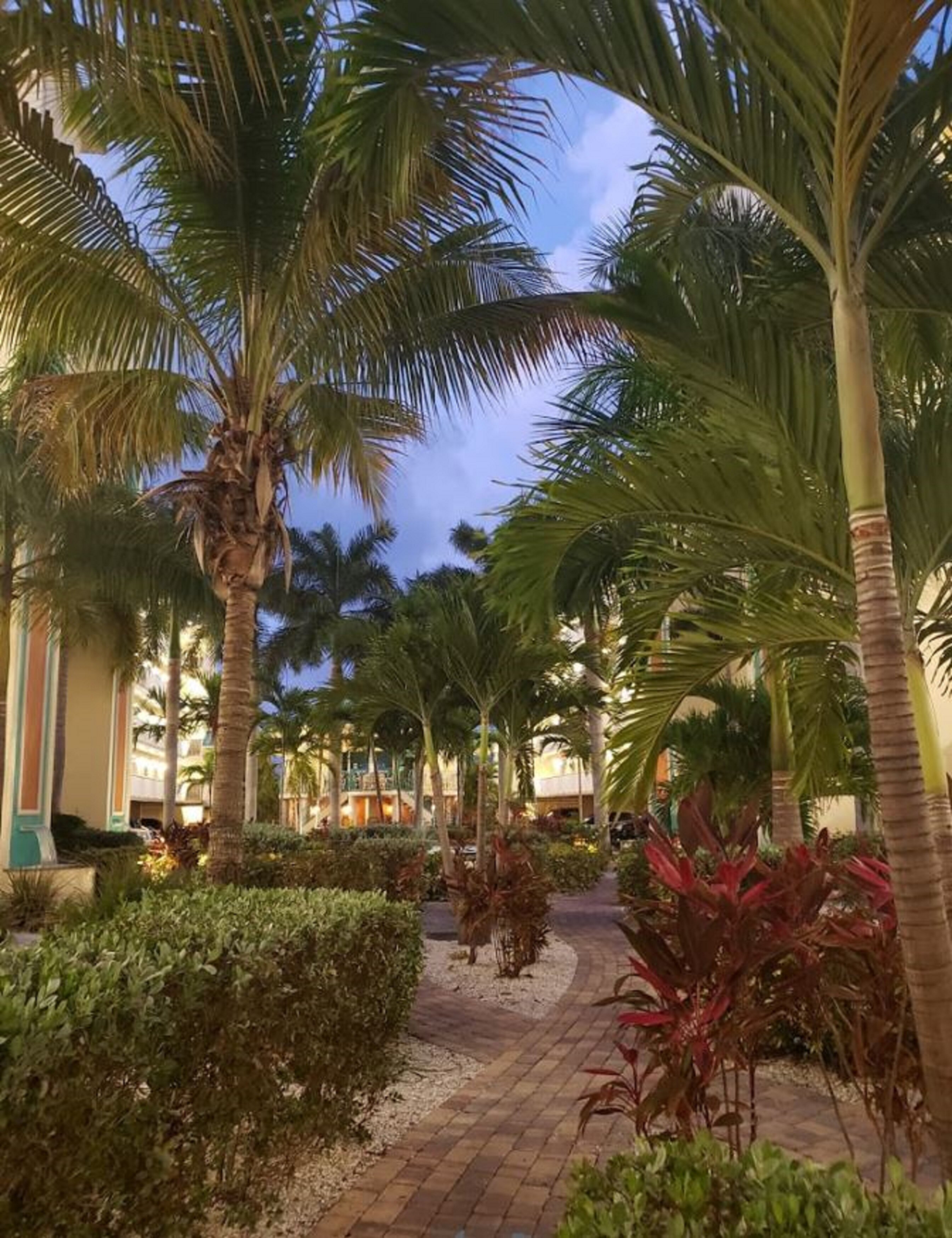 Фото Sunset Vistas Two Bedroom Beachfront Suites