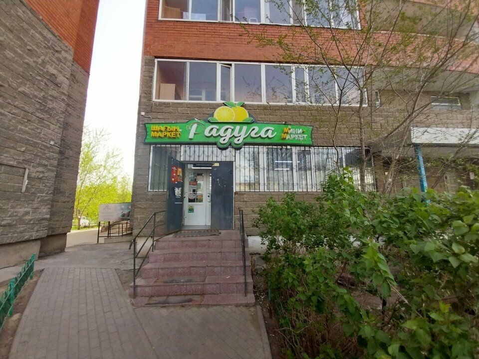 Payment terminal Qiwi, Astana, photo