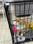 Vet-Rey (Yunusabad District, Yunusabad Residential Area, 4-mavze, 28), veterinary clinic