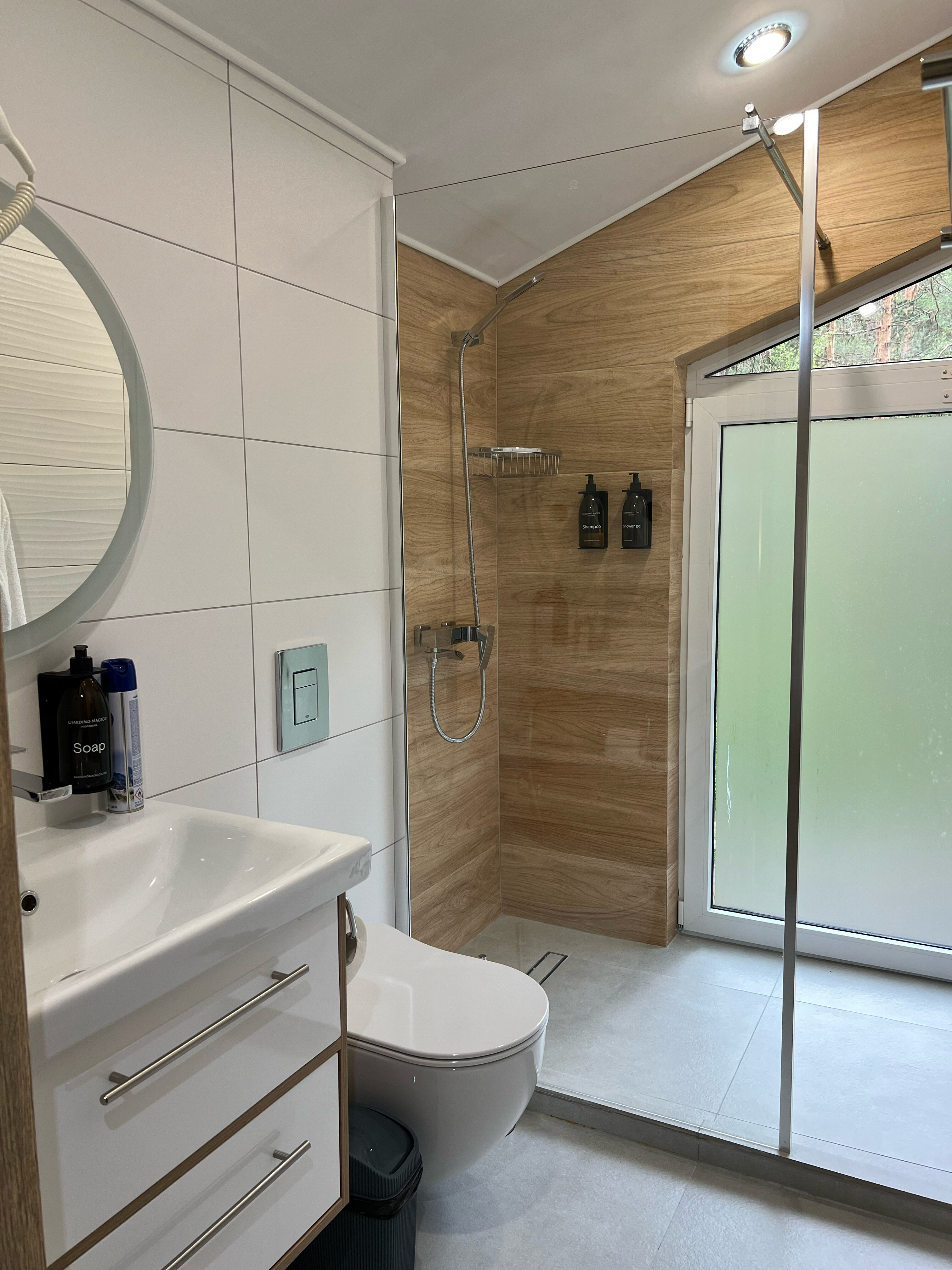 Фото Silver Snow