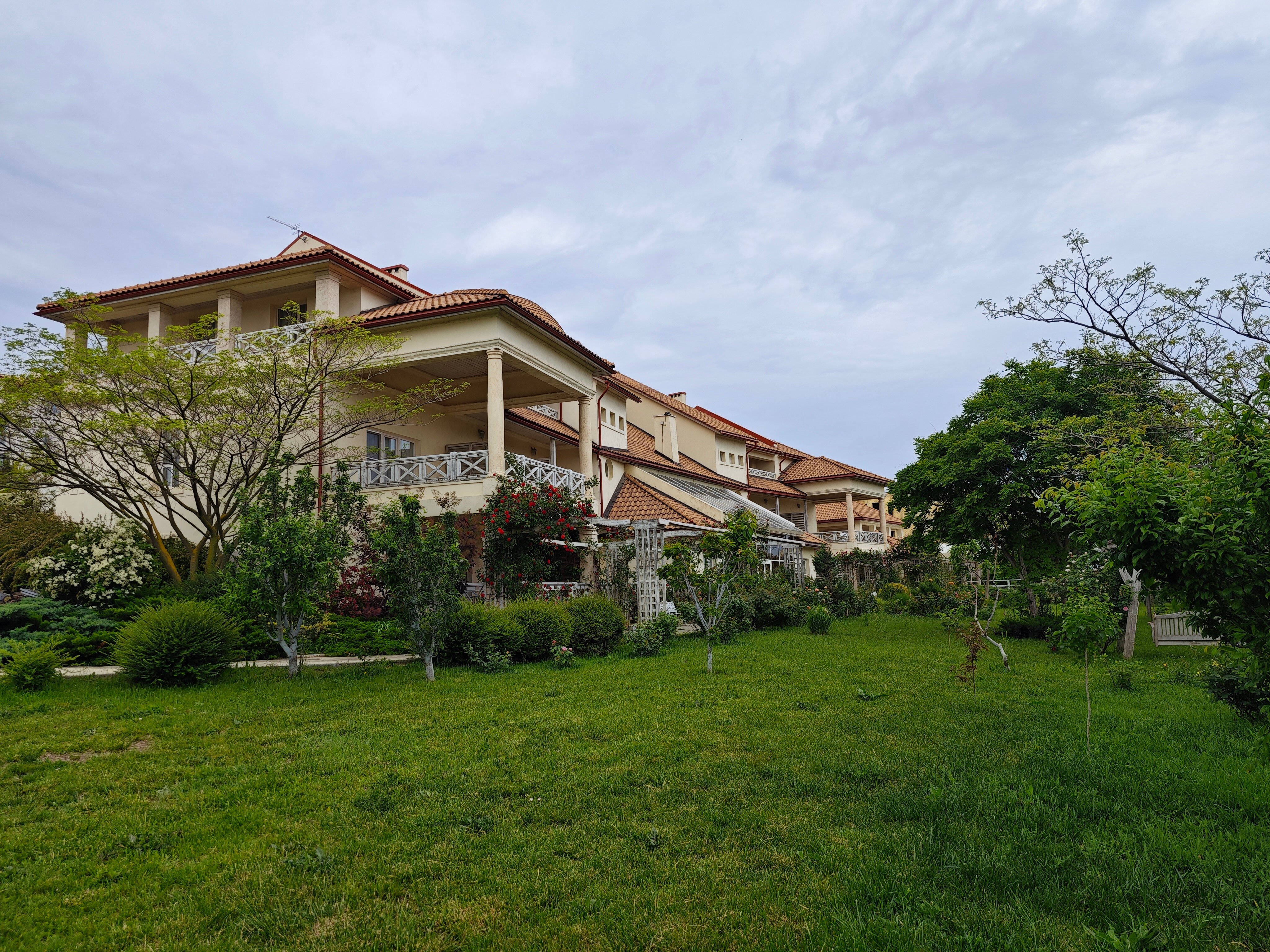 Фото Александрия