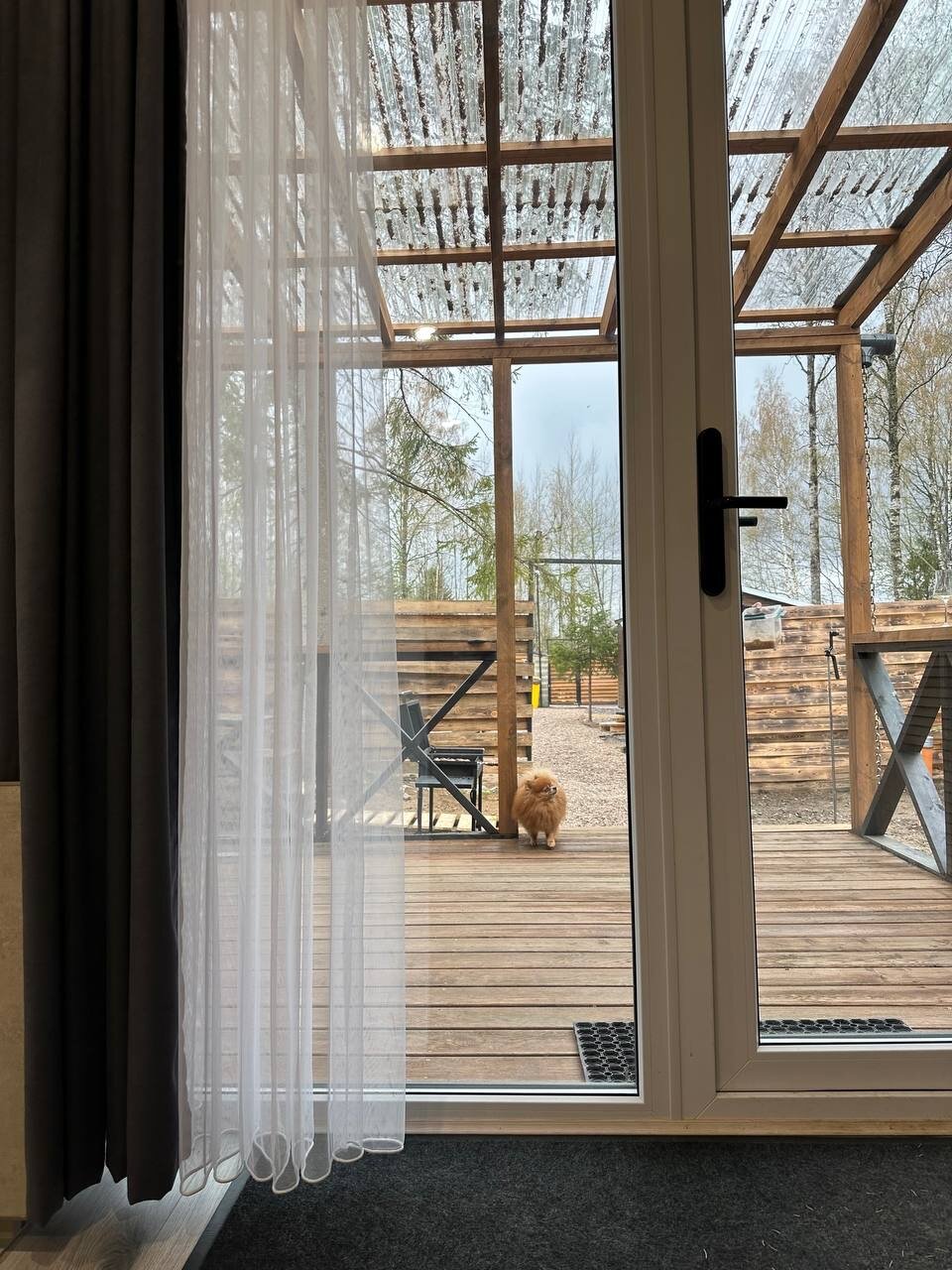 Фото Шишкин Place