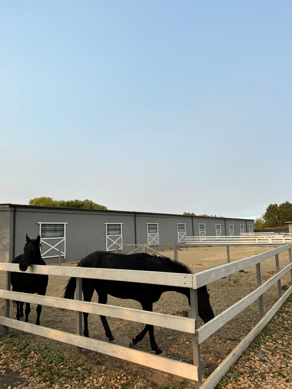 Фото Семейная ферма Федуловых