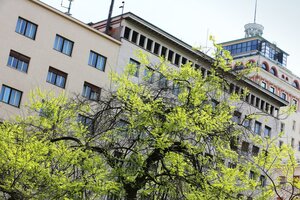 Гостиница Urban Boutique Hotel