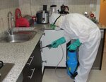 Alfa Pest Control (İzmir, Bornova, Kemalpaşa Mah., 7087/3 Sok., 1), disinfection, disinsection, deratization