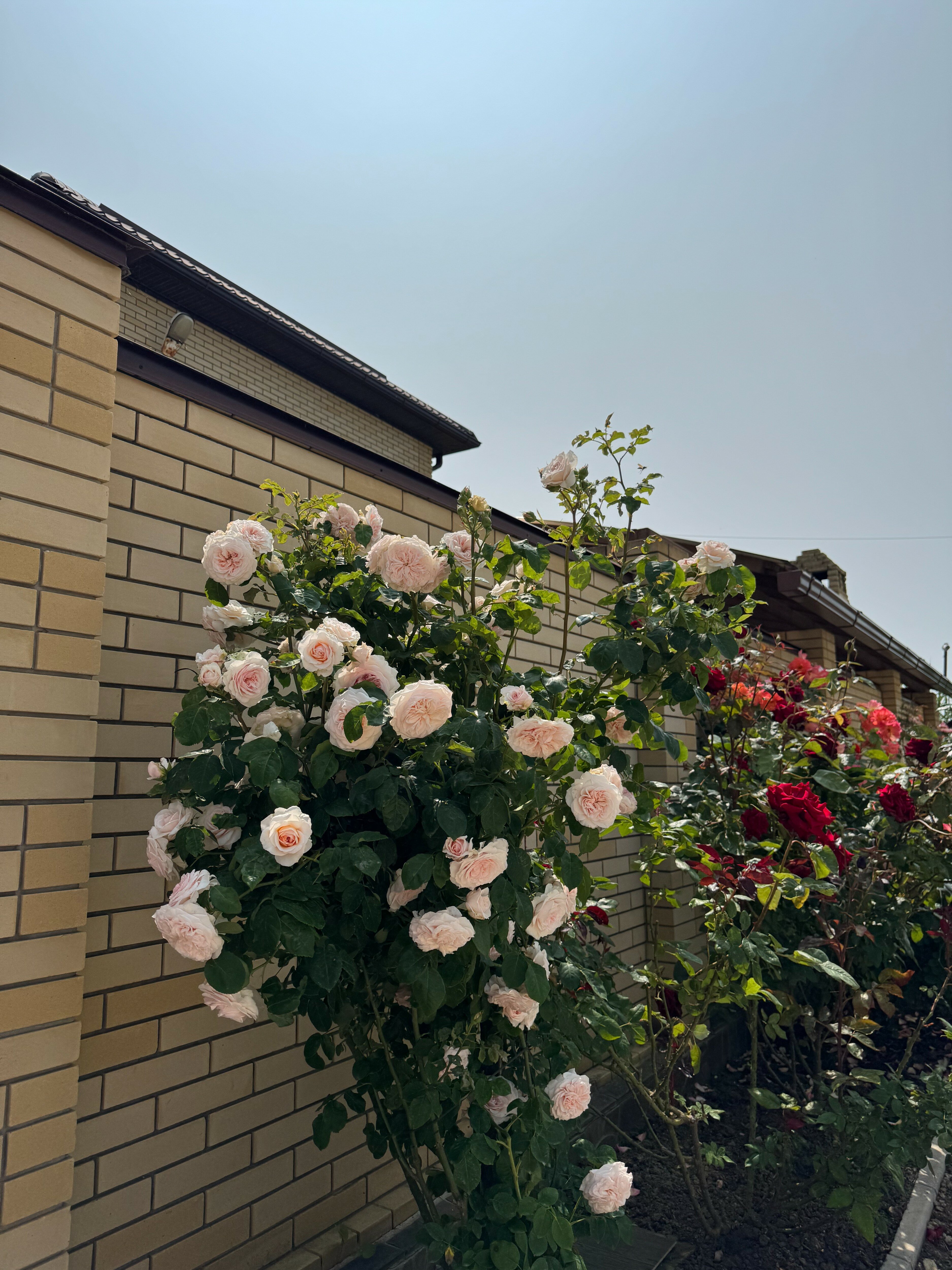 Фото Маленькая Гагра