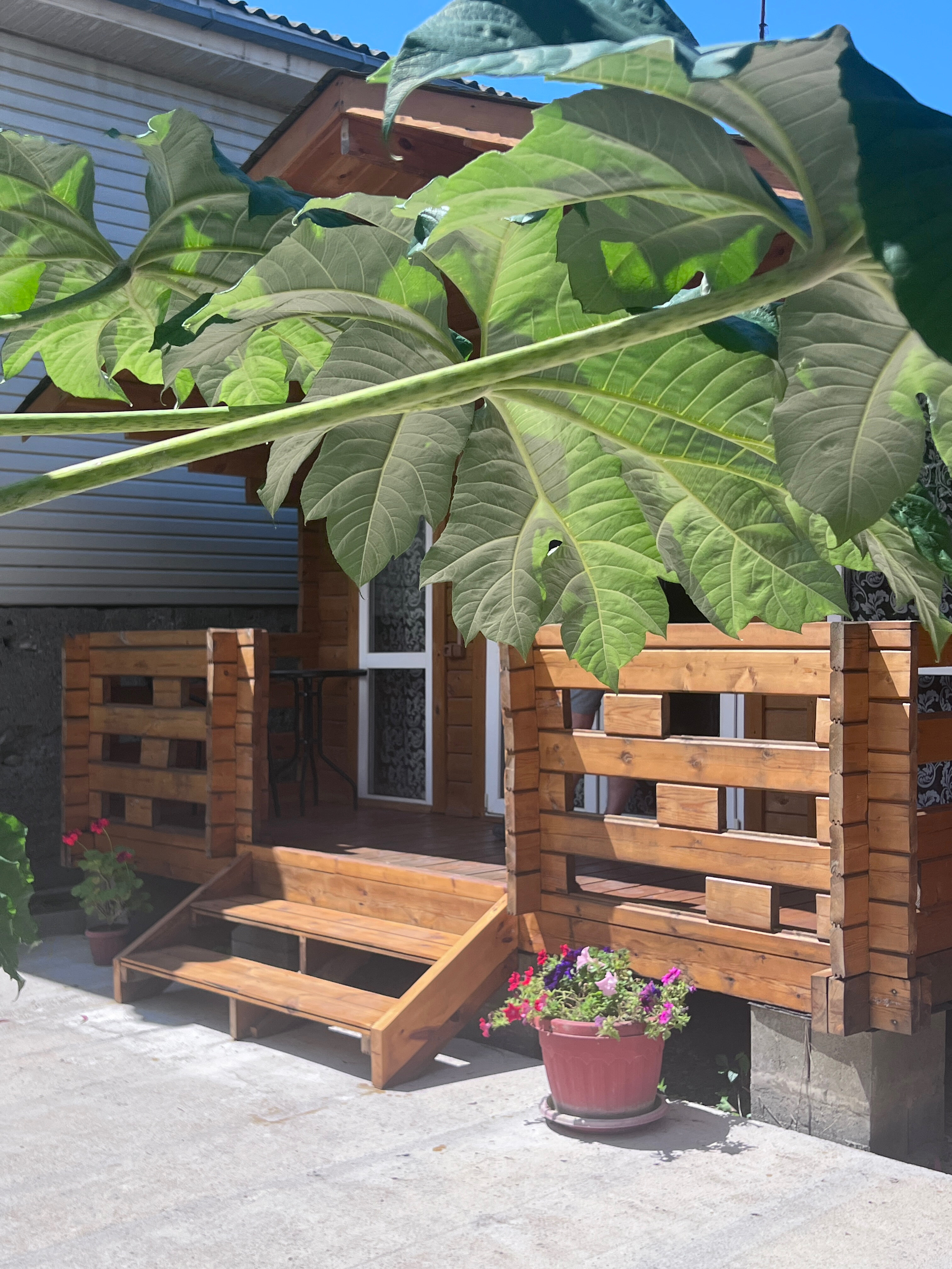 Фото Отдых в Гагре у Артура и Сюзанны