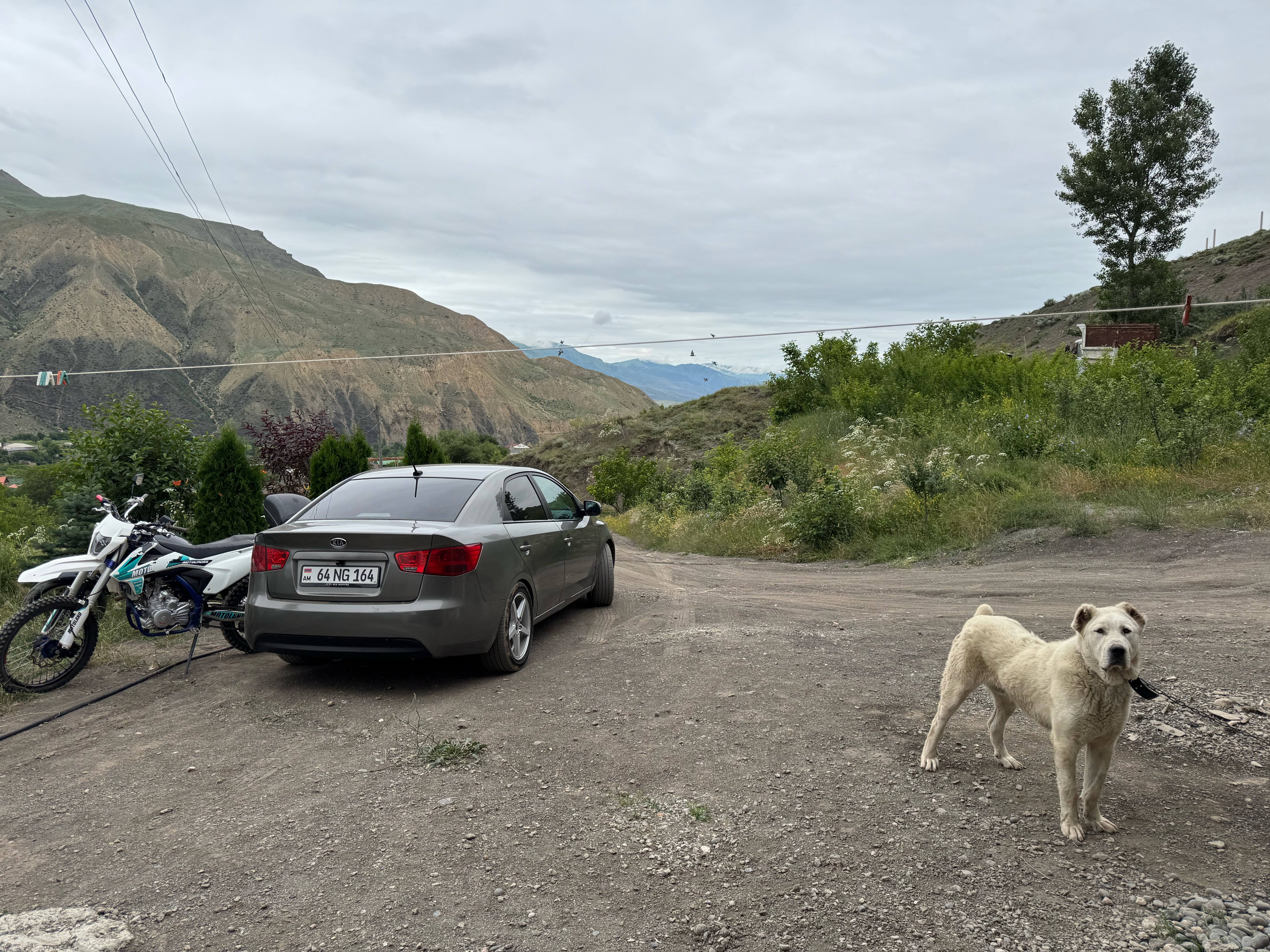 Фото Орлиное гнездо