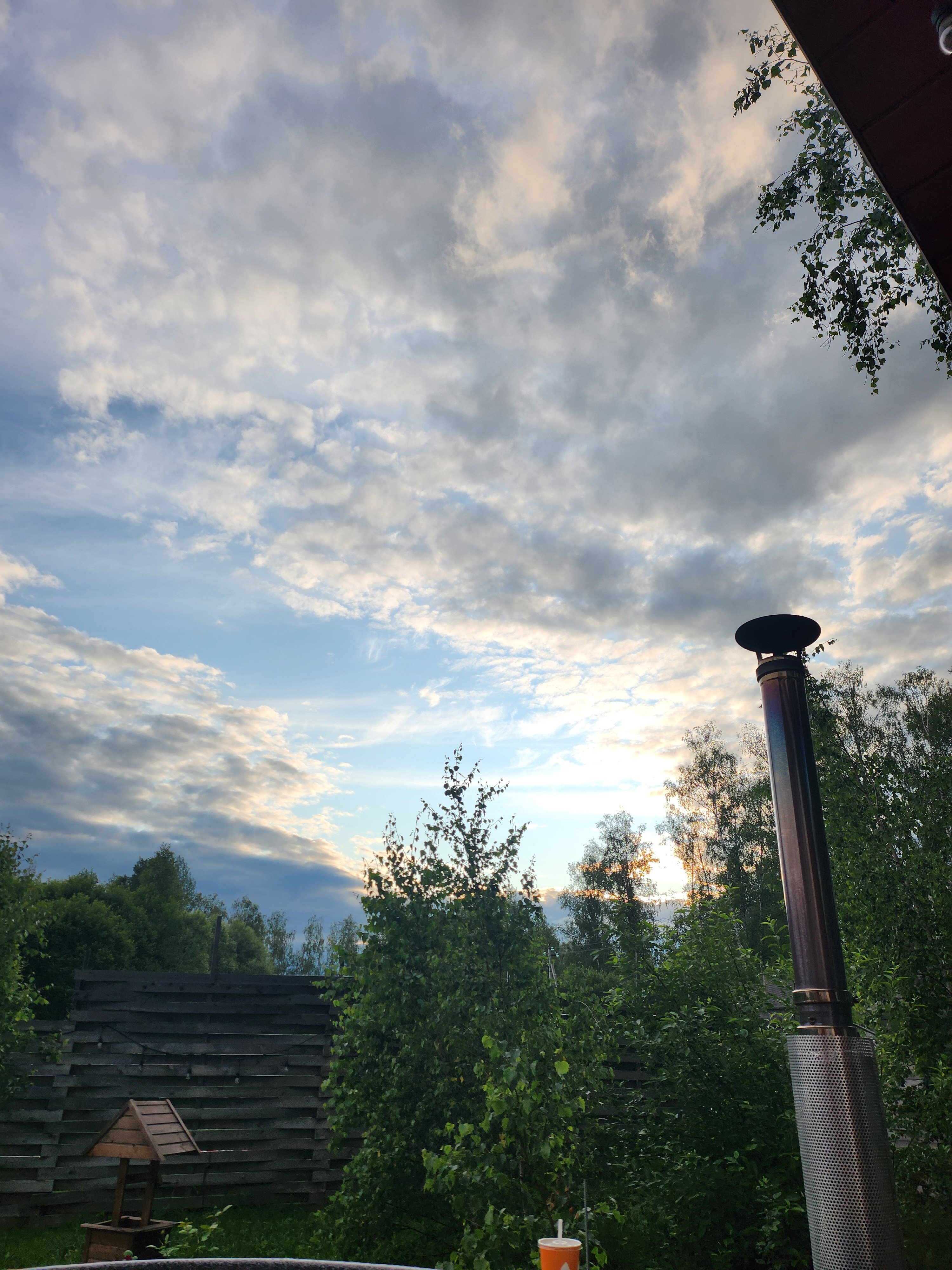 Фото Лесное Патио