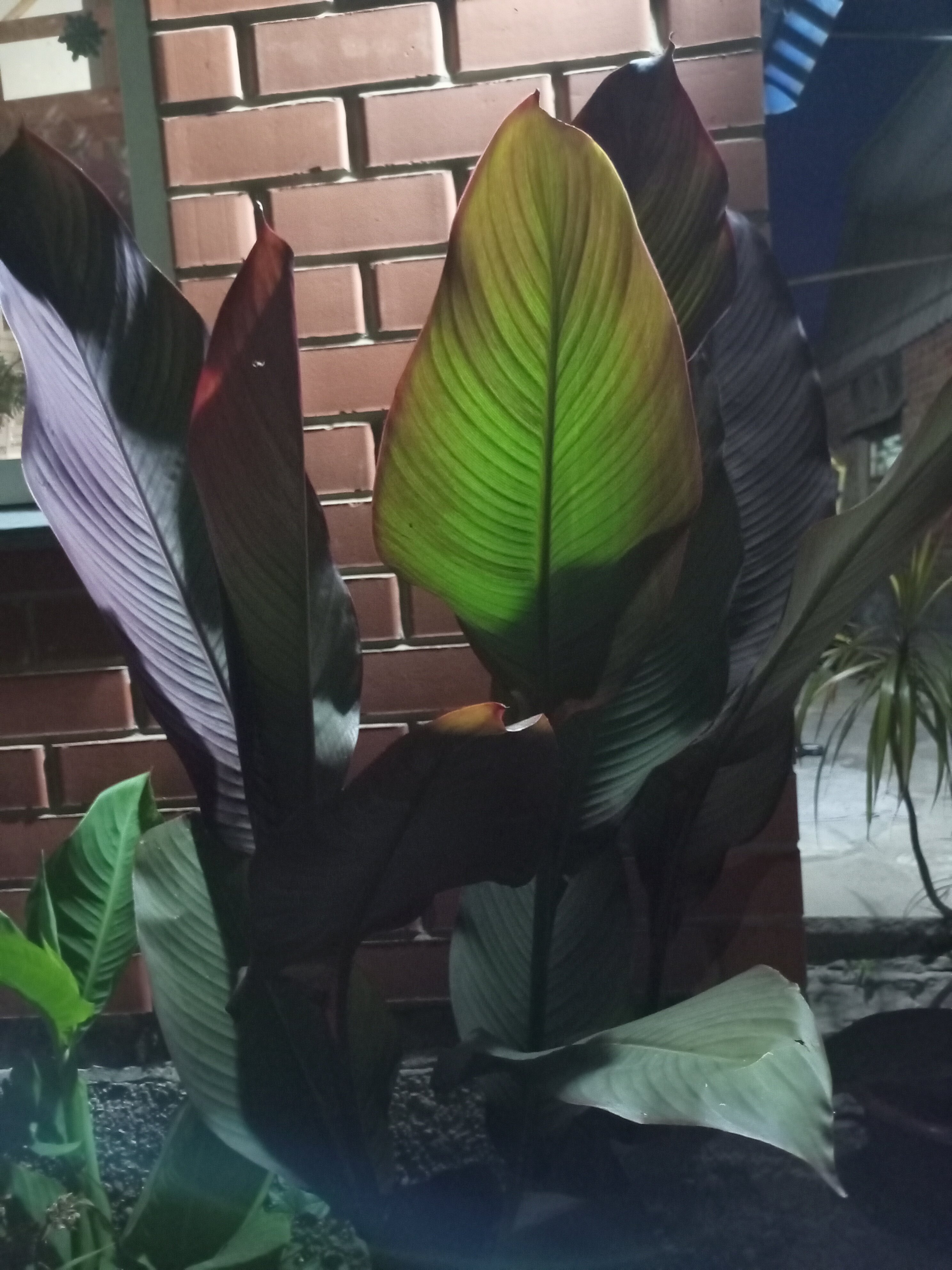 Фото Добродом