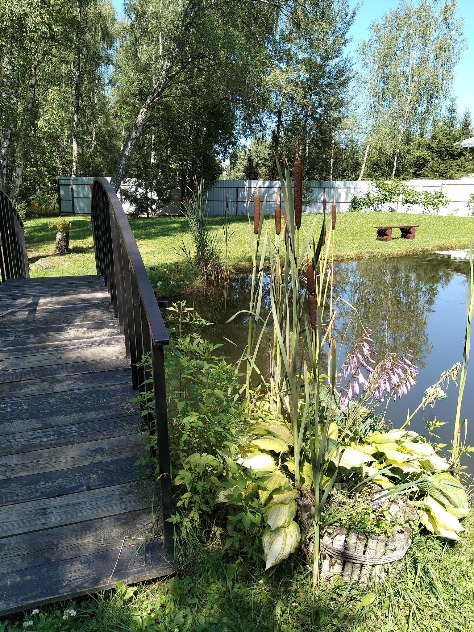 Фото Уютный домик в лесу у пруда