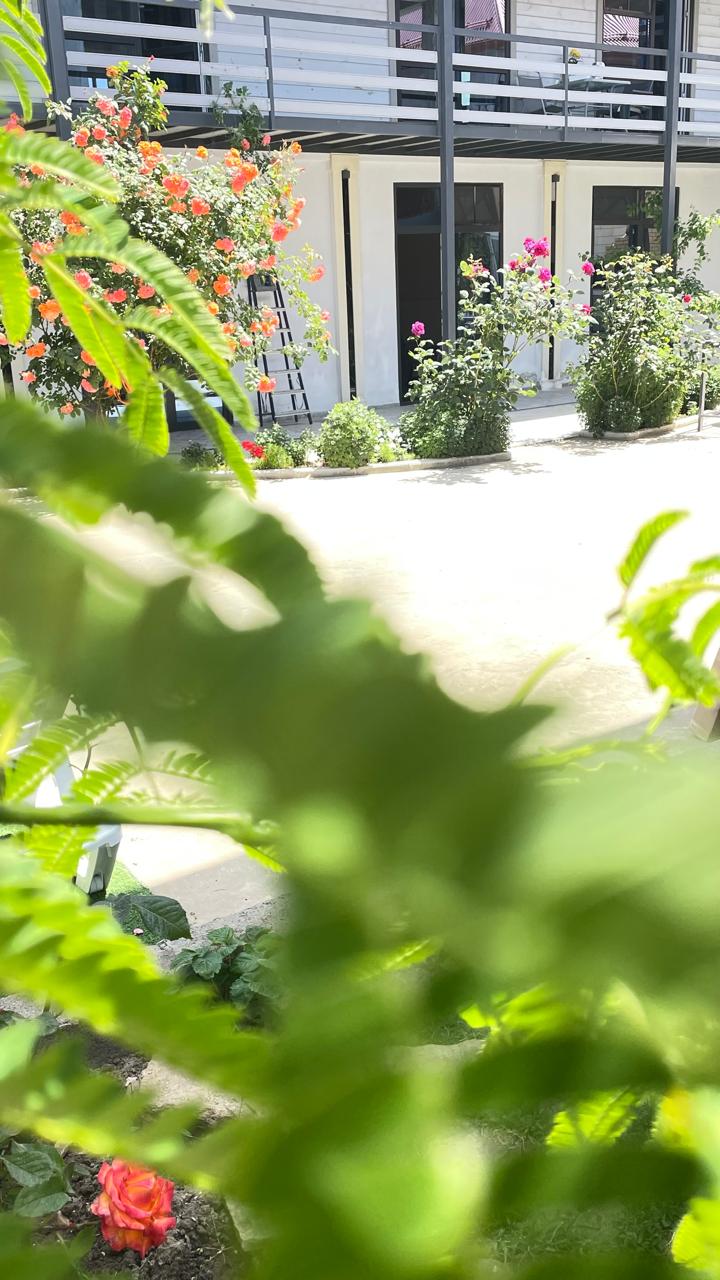 Фото Римини