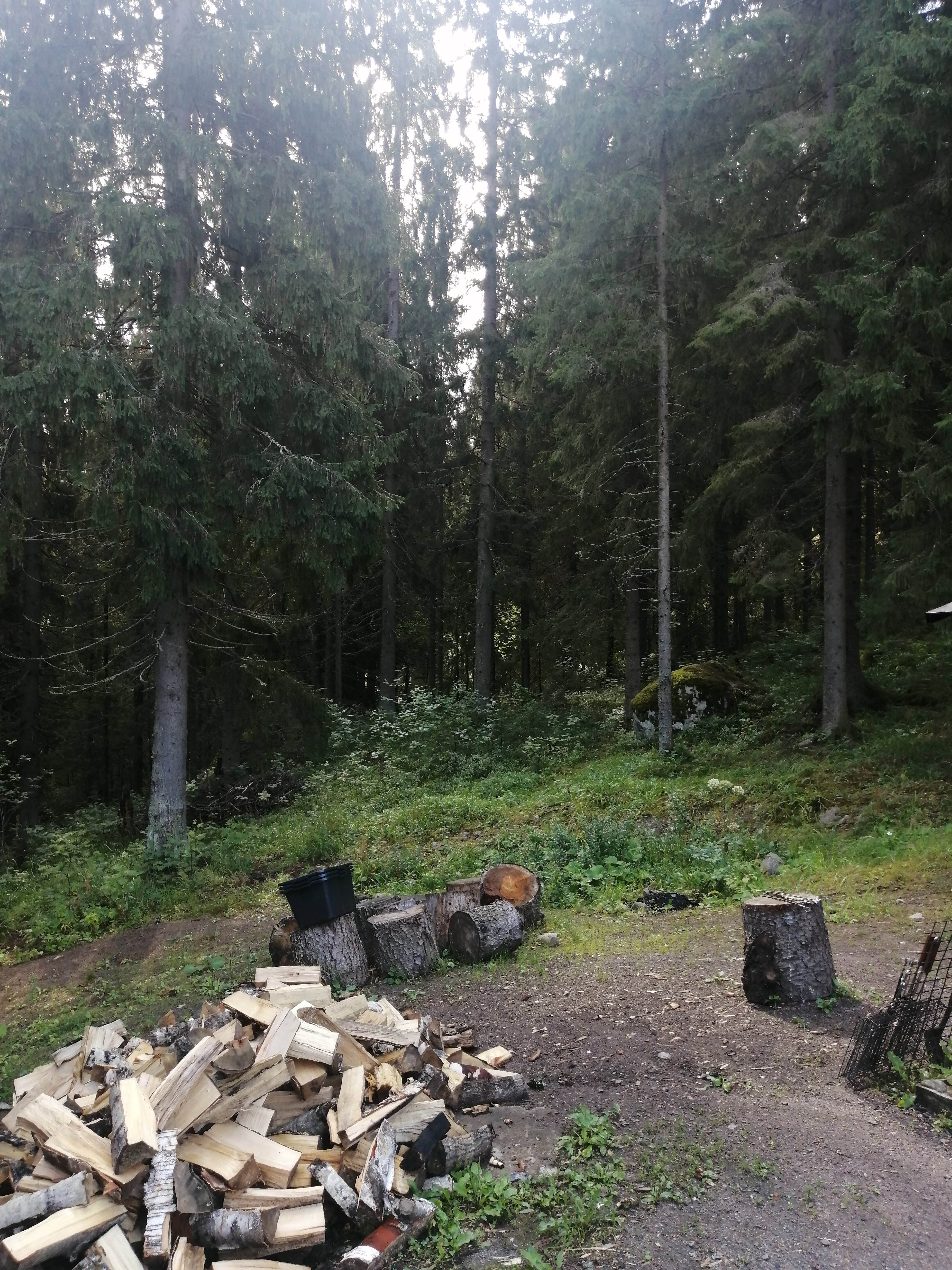 Фото Зима-Лето