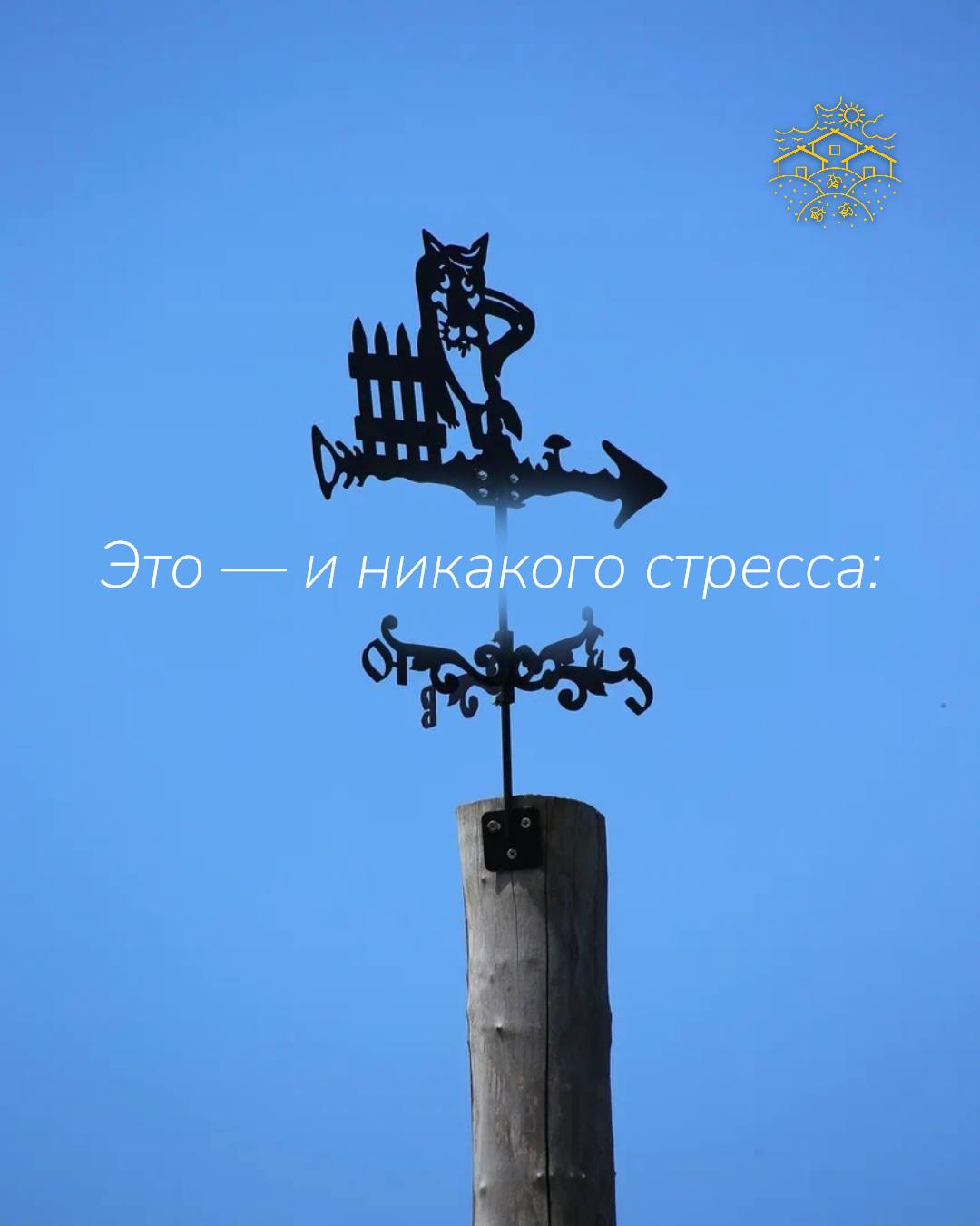 Фото Медовые Холмы