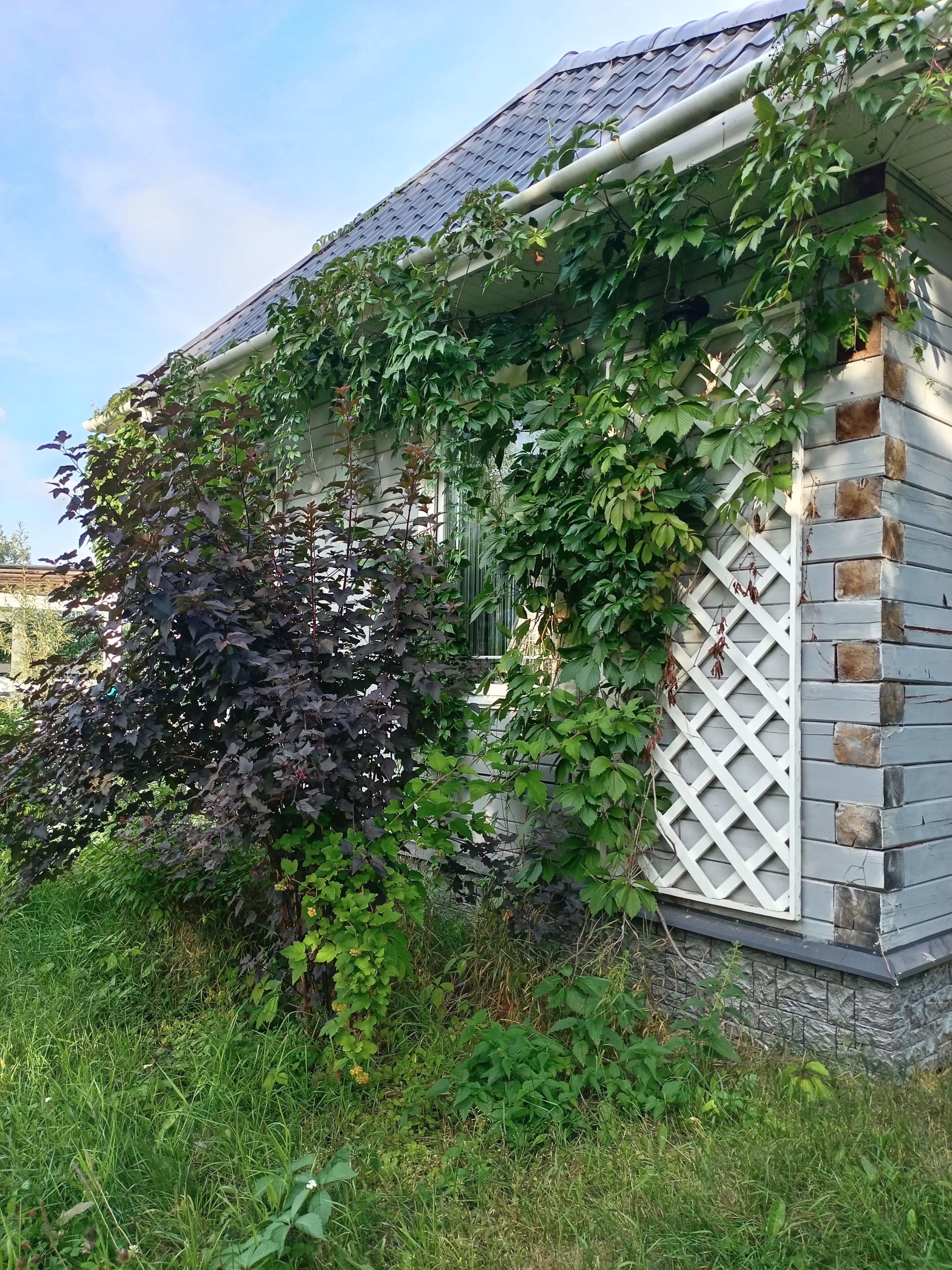 Фото Чудесное место