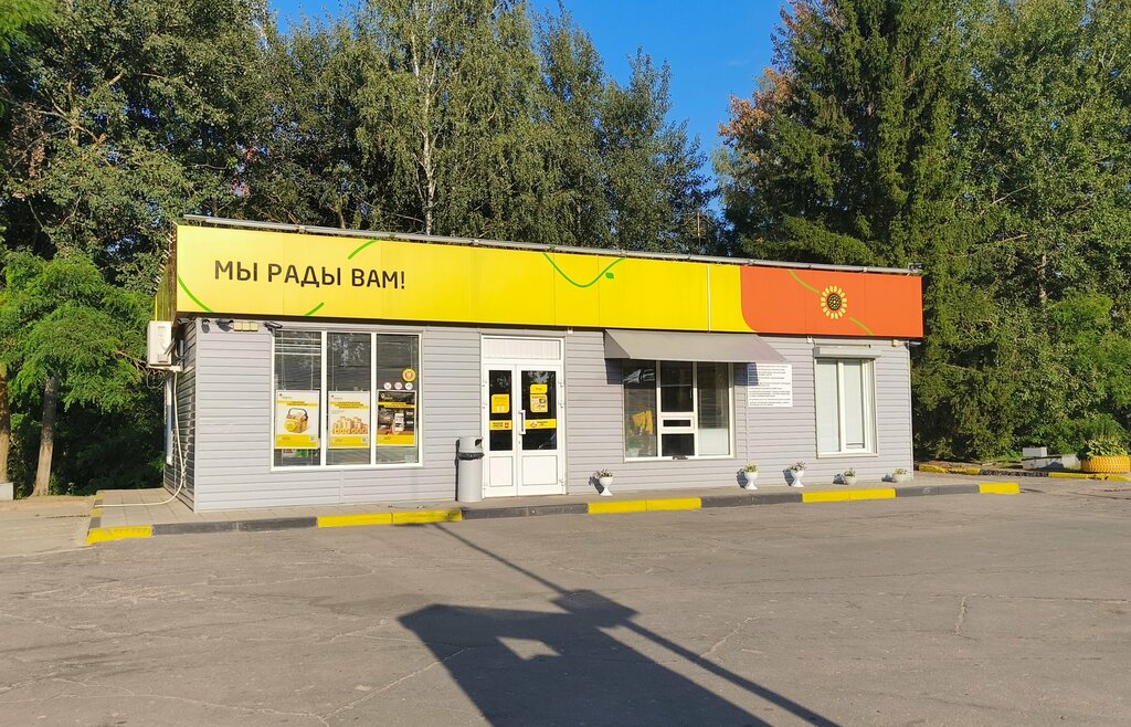 Gas station Rosneft', Bryansk Oblast, photo