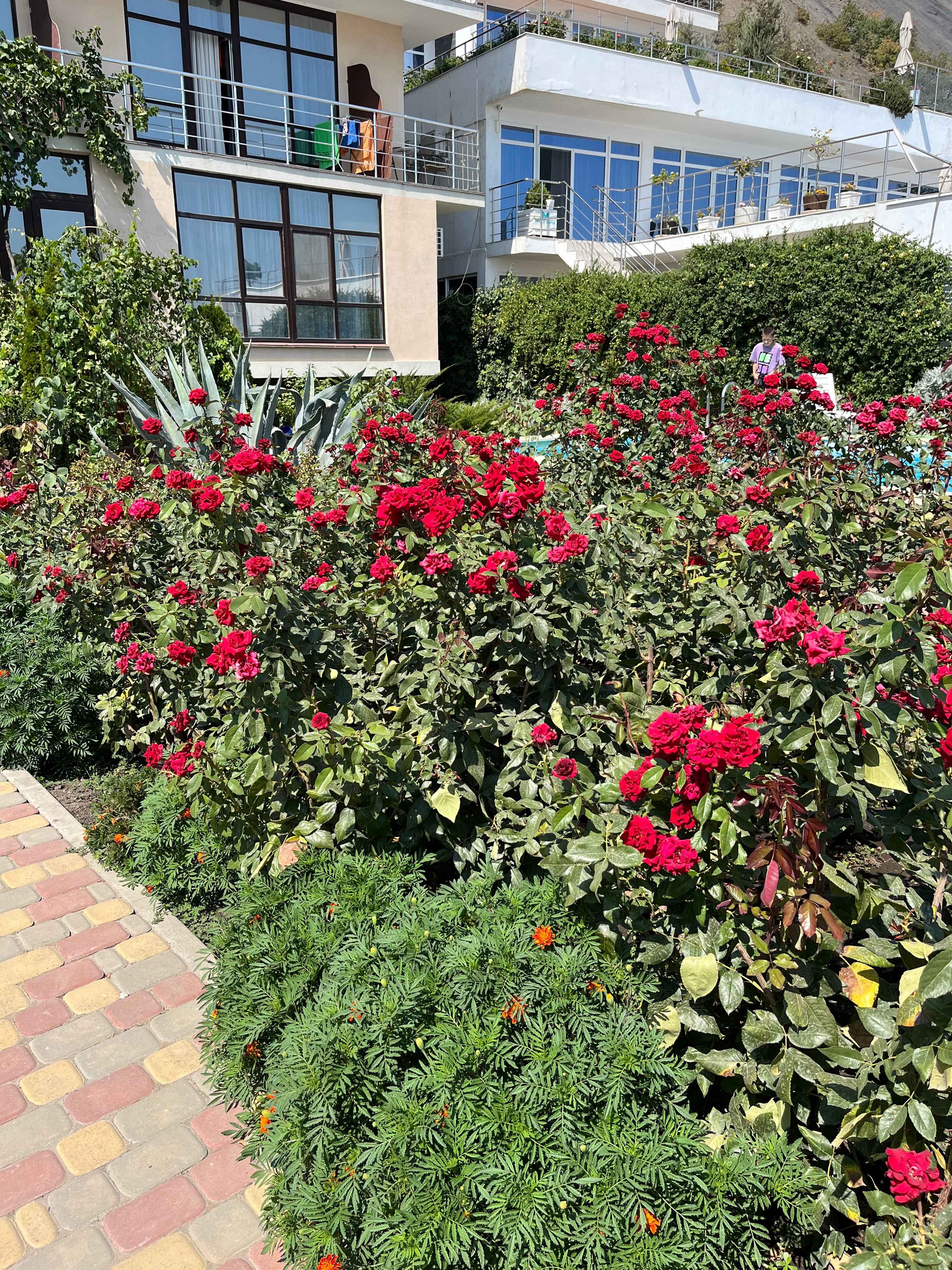 Фото Лукоморье