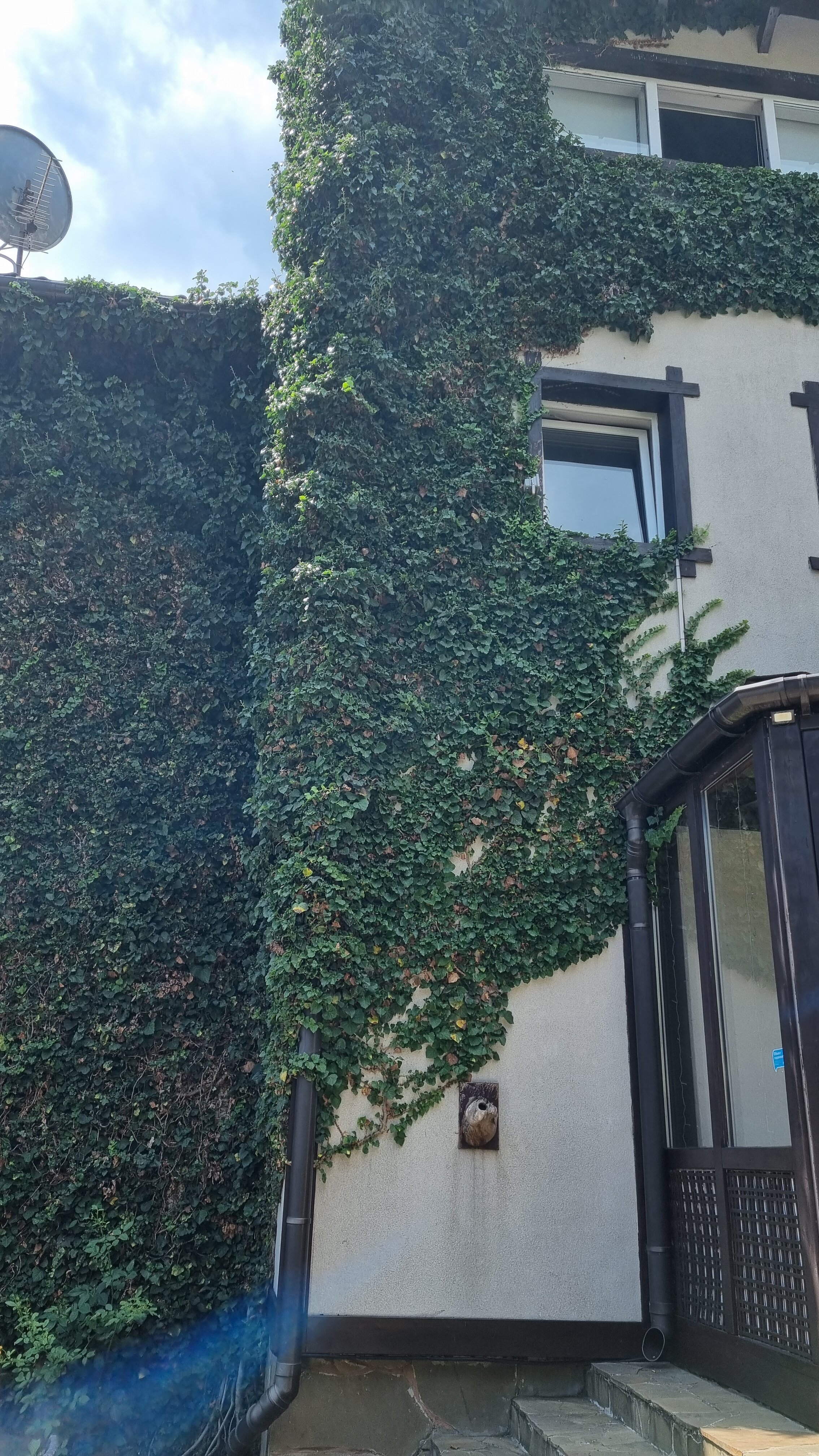 Фото Альпийский Двор